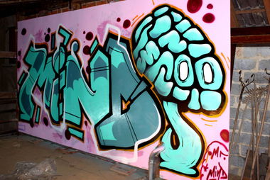 Graffiti Wall - Photo by Mr_Mind - Mind, Brain, Character (2013)