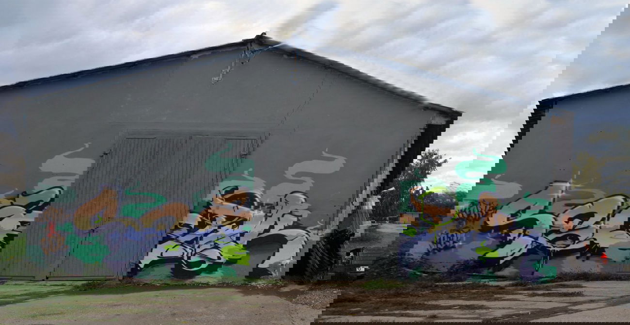 Graffiti Wall in Gera - Photo by Mr_Sork - Sork, Ser, S&S (2013)