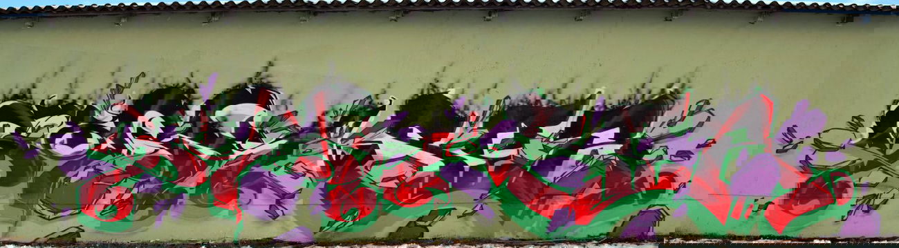 Graffiti Wall in Gera - Photo by Mr_Sork - Sork&Ser, S&S, Gera (2013)