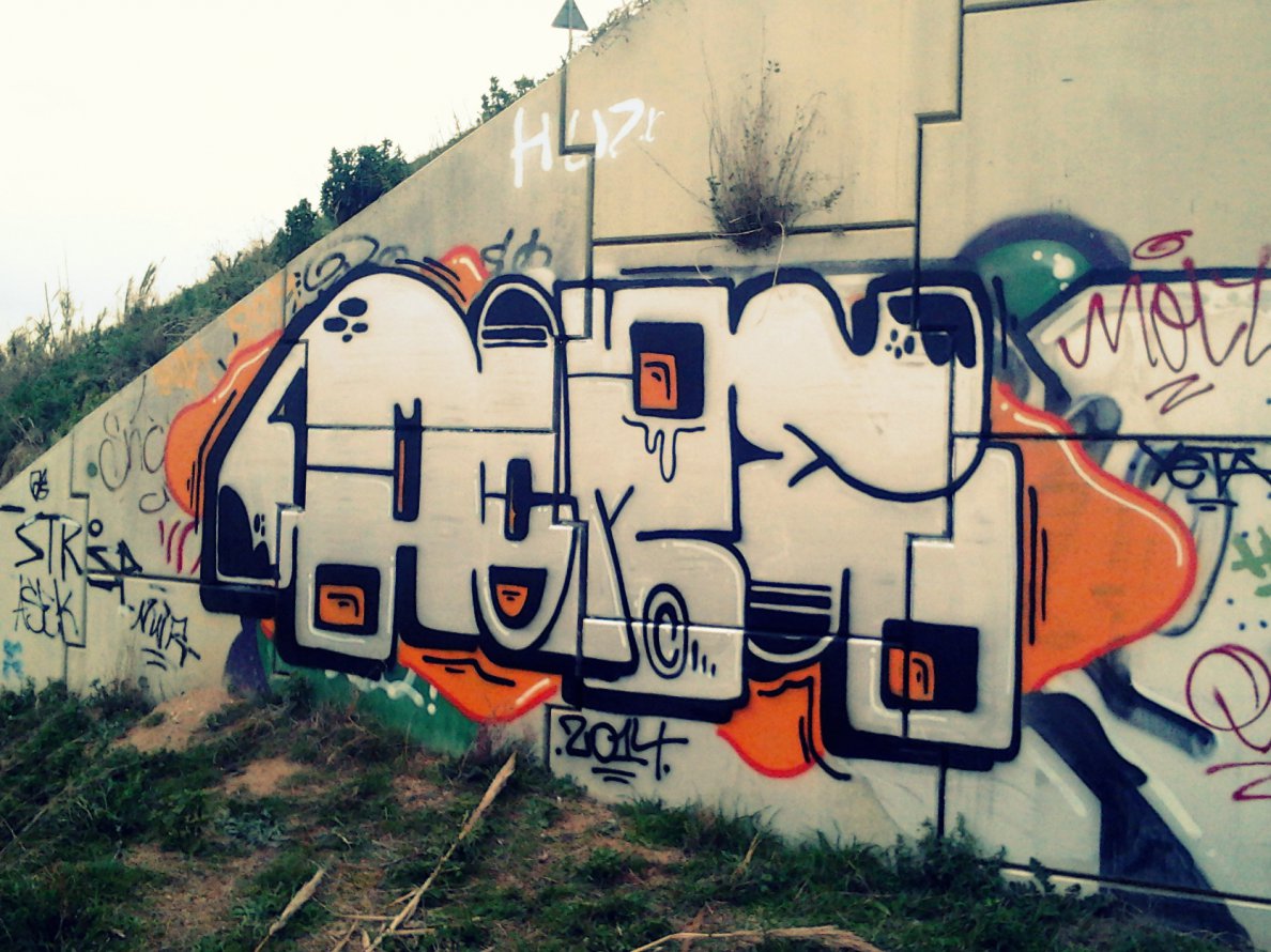 Graffiti Bombing - Photo by Mrbadnews (2014)