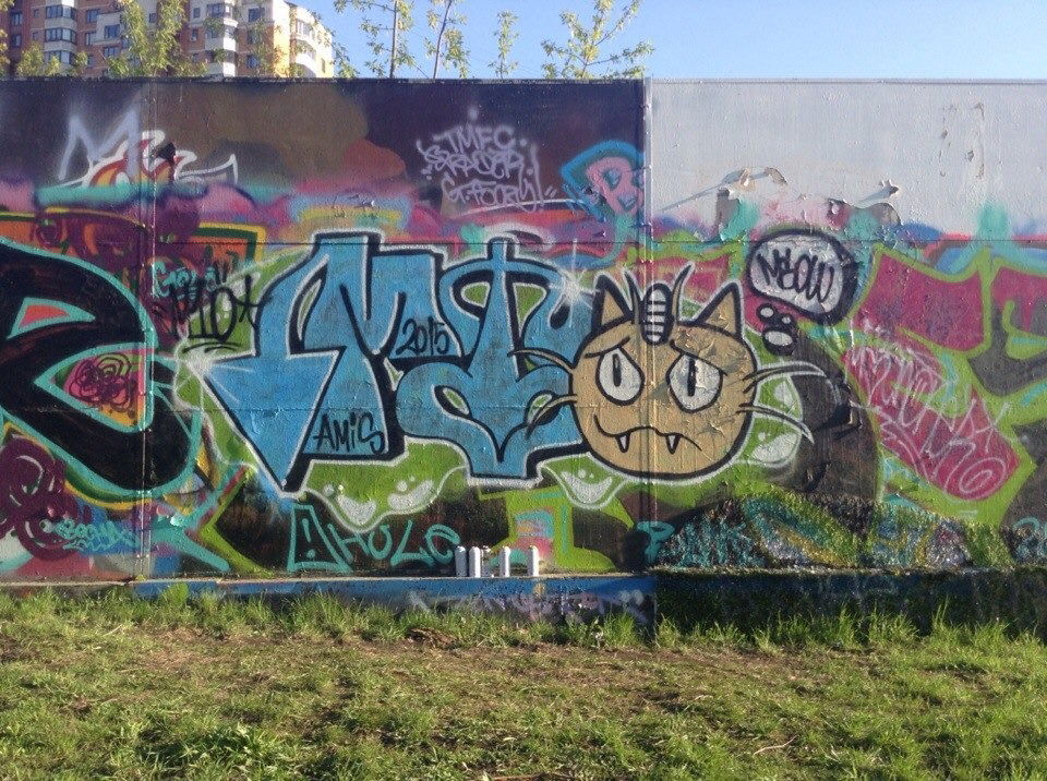 Graffiti Wall - Photo by Mtenone - mtenoner, pokemon, meowth (2015)