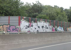 Photo #17449 by fragil