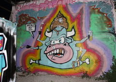 Photo #17632 by TheWallHunter