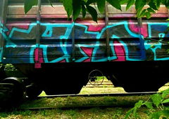 Photo #238001 by soket2dsl