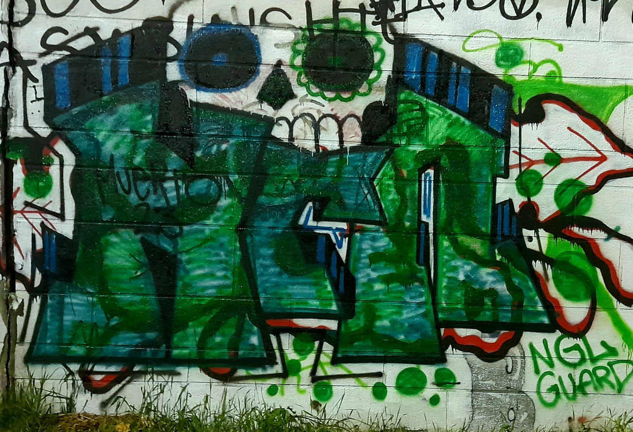 Graffiti Wall - Photo by Muerto62 - NGL, Muerto (2023)