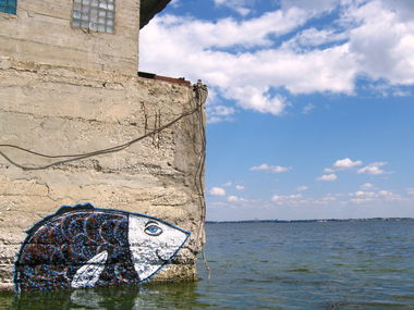 Graffiti Artwork - Photo by Muluk