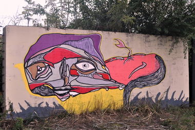 Graffiti Artwork - Photo by Muluk