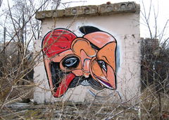 Photo #25988 by restlessleg