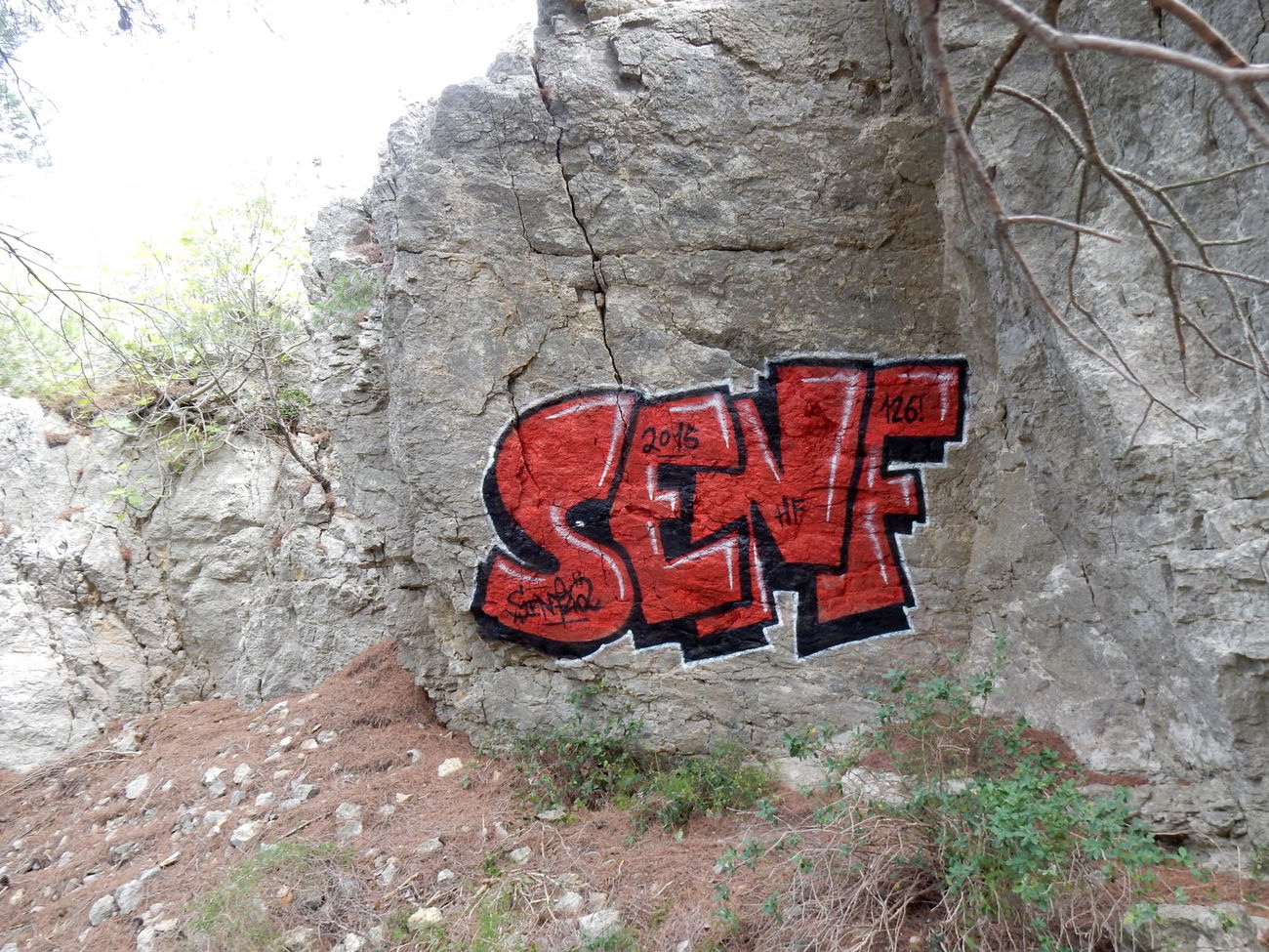 Graffiti Photo by Mustard42 - Senf, Senf42, 126 (2015)