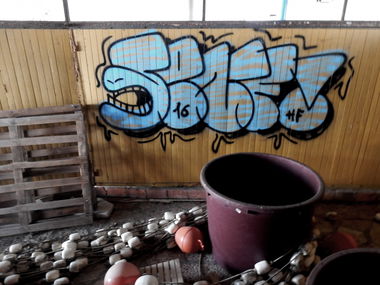 Graffiti Wall - Photo by Mustard42 - Pula, Croatia (2016)