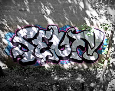 Graffiti Bombing - Photo by Mustard42 - Senf42, 126, Pfalz (2014)