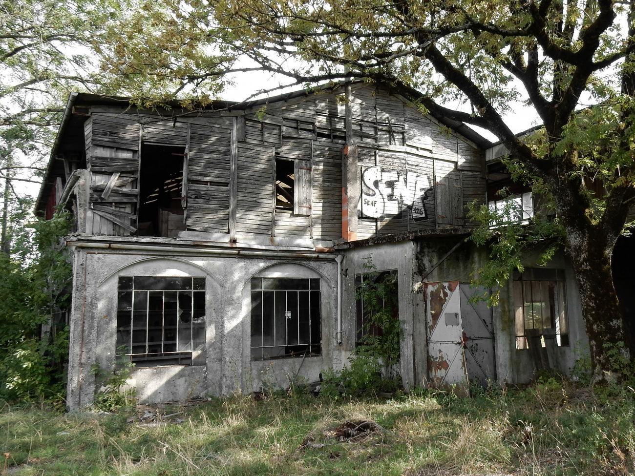 Graffiti Photo by Mustard42 - Senf, Senf42, 126