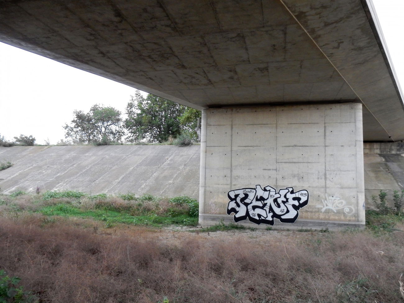 Graffiti Wall - Photo by Mustard42 - Senf, Senf42, 126 (2015)