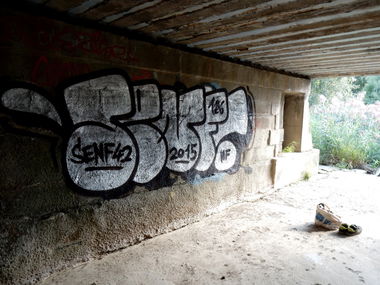 Graffiti Bombing - Photo by Mustard42 - Senf, Senf42, 126 (2015)