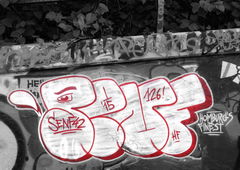 Photo #171653 by koal