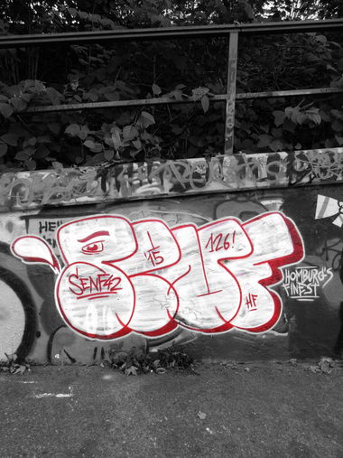 Graffiti Bombing - Photo by Mustard42 - Senf42, Senph42, Senf (2015)