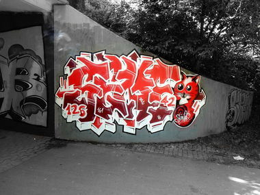 Graffiti in Deutschland - Photo by Mustard42 - Senf42, Senf, Saarland (2016)