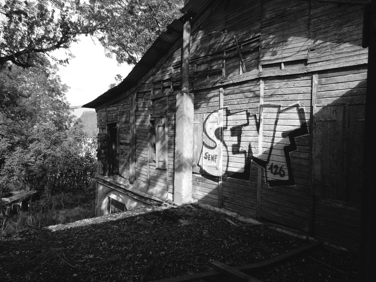 Graffiti Photo by Mustard42 - Senf, Senf42, Scurr (2015)