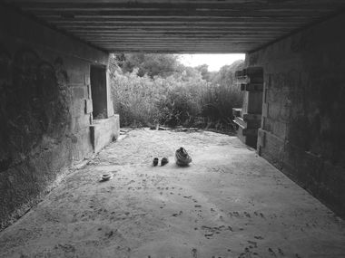 Graffiti Wall - Photo by Mustard42 - Atmosphere, bleck, white