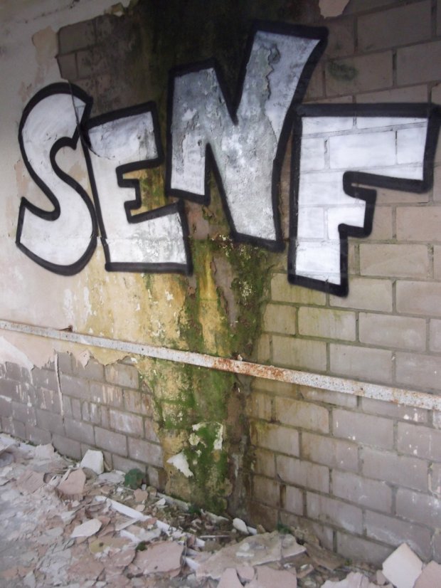 Graffiti Bombing - Photo by Mustard42 - Senf42, SENF, 42 (2014)