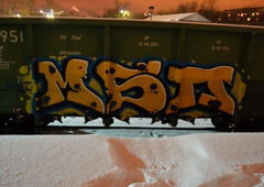 Photo #10196 by Nets1