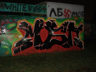 Graffiti Bombing - Photo by MutiBezPalewo (2012)