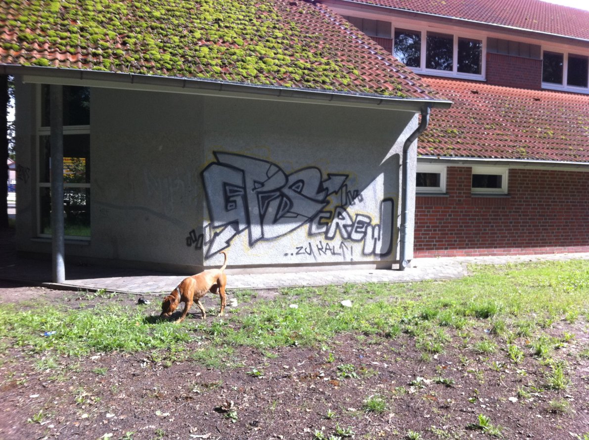 Graffiti Bombing - Photo by MuvYaFet - Gps, Fens, Mers