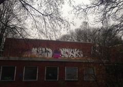 Photo #179129 by TagHagel