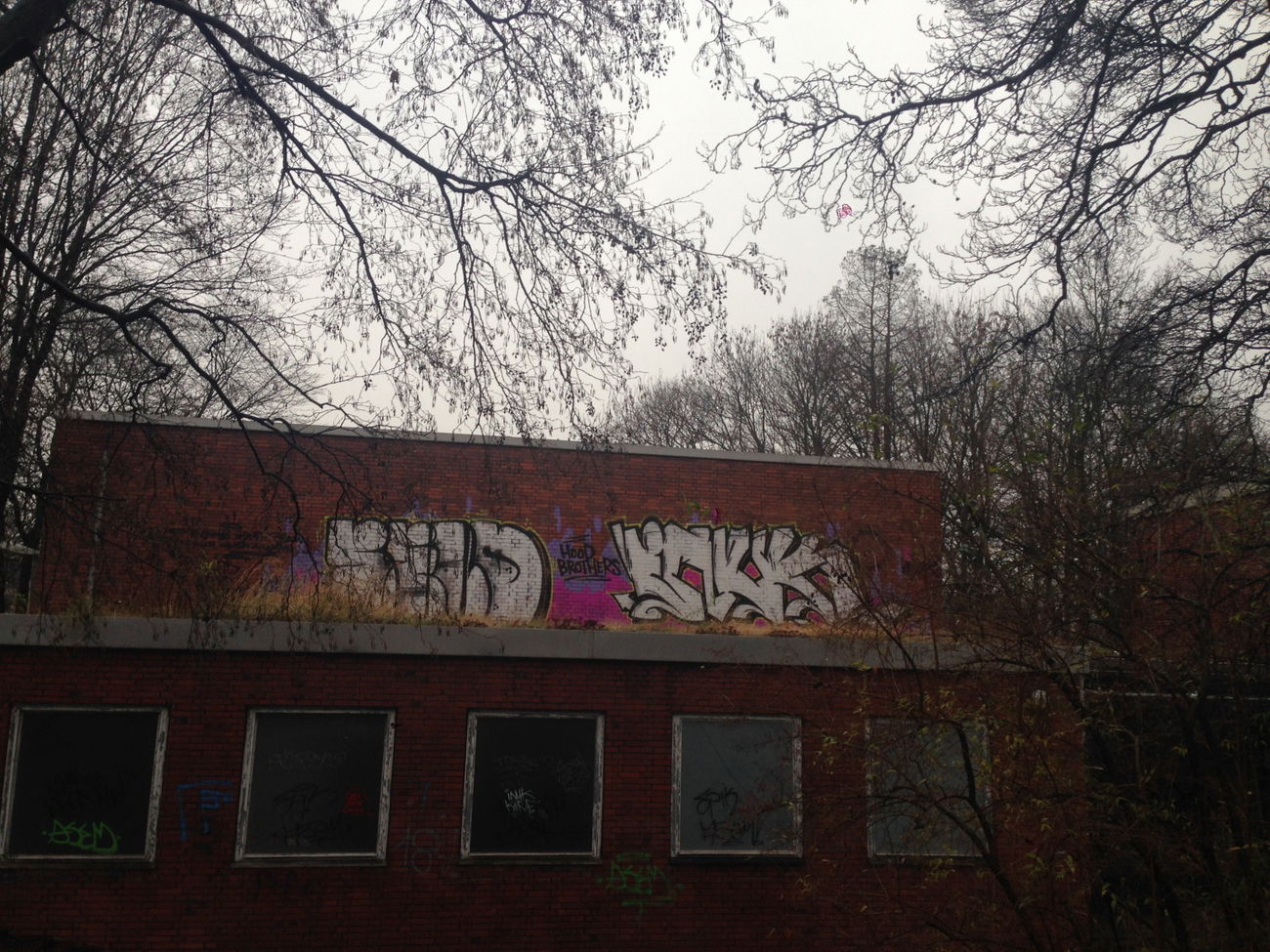 Graffiti Wall - Photo by Mystery