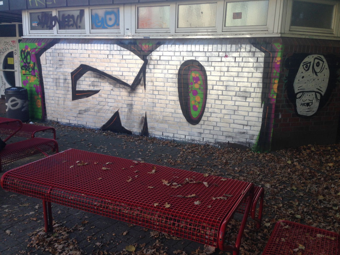 Graffiti Bombing - Photo by Mystery