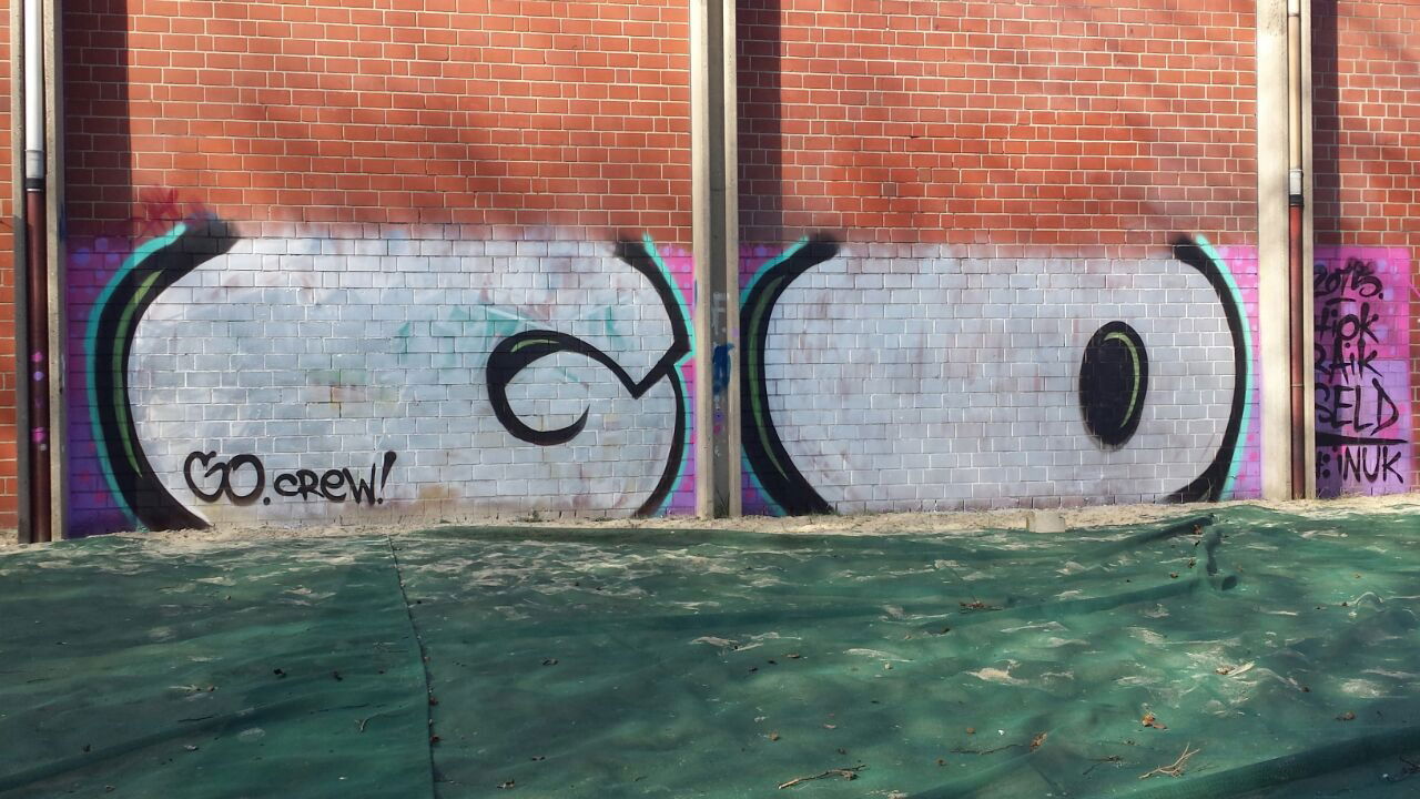 Graffiti Bombing - Photo by Mystery