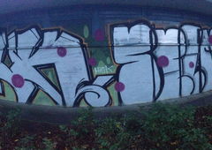 Photo #179114 by TagHagel