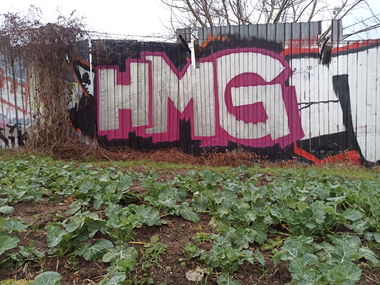 Graffiti Bombing - Photo by N0NAME - HMG, HOMEGUARDS