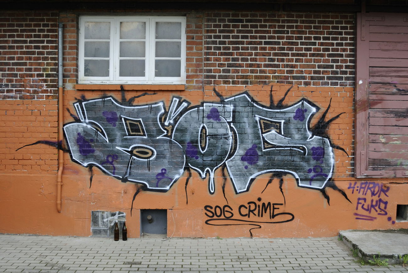 Graffiti Bombing - Photo by NAIS - SOG, AROK, FUCHS