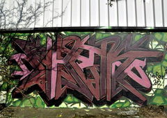 Photo #18113 by TagHagel