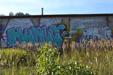 Graffiti Bombing - Photo by NAPIS
