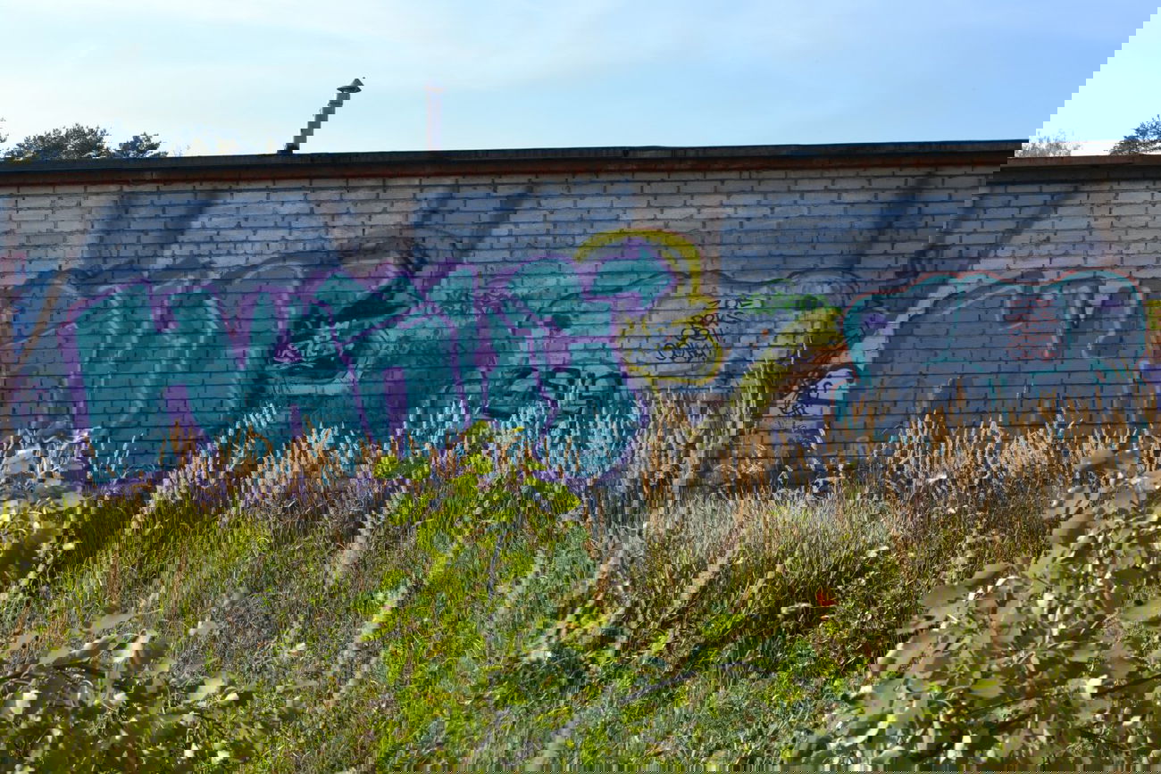 Graffiti Bombing - Photo by NAPIS