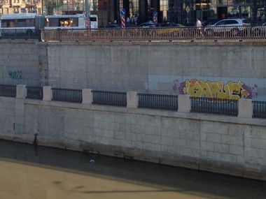 Graffiti Bombing - Photo by NAPIS