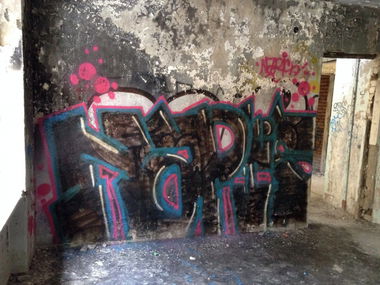 Graffiti Bombing - Photo by NAPIS