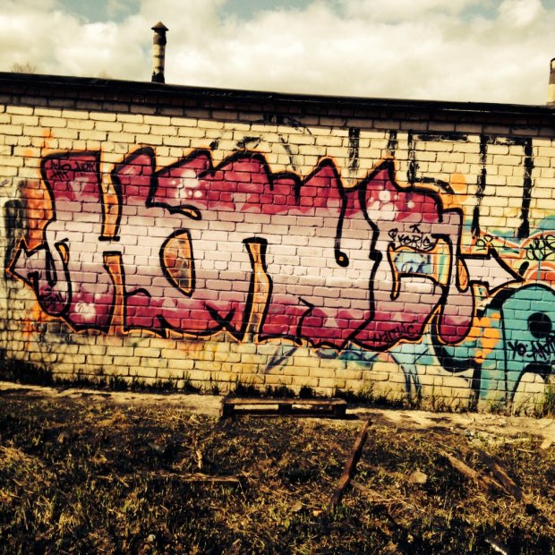 Graffiti Bombing - Photo by NAPIS