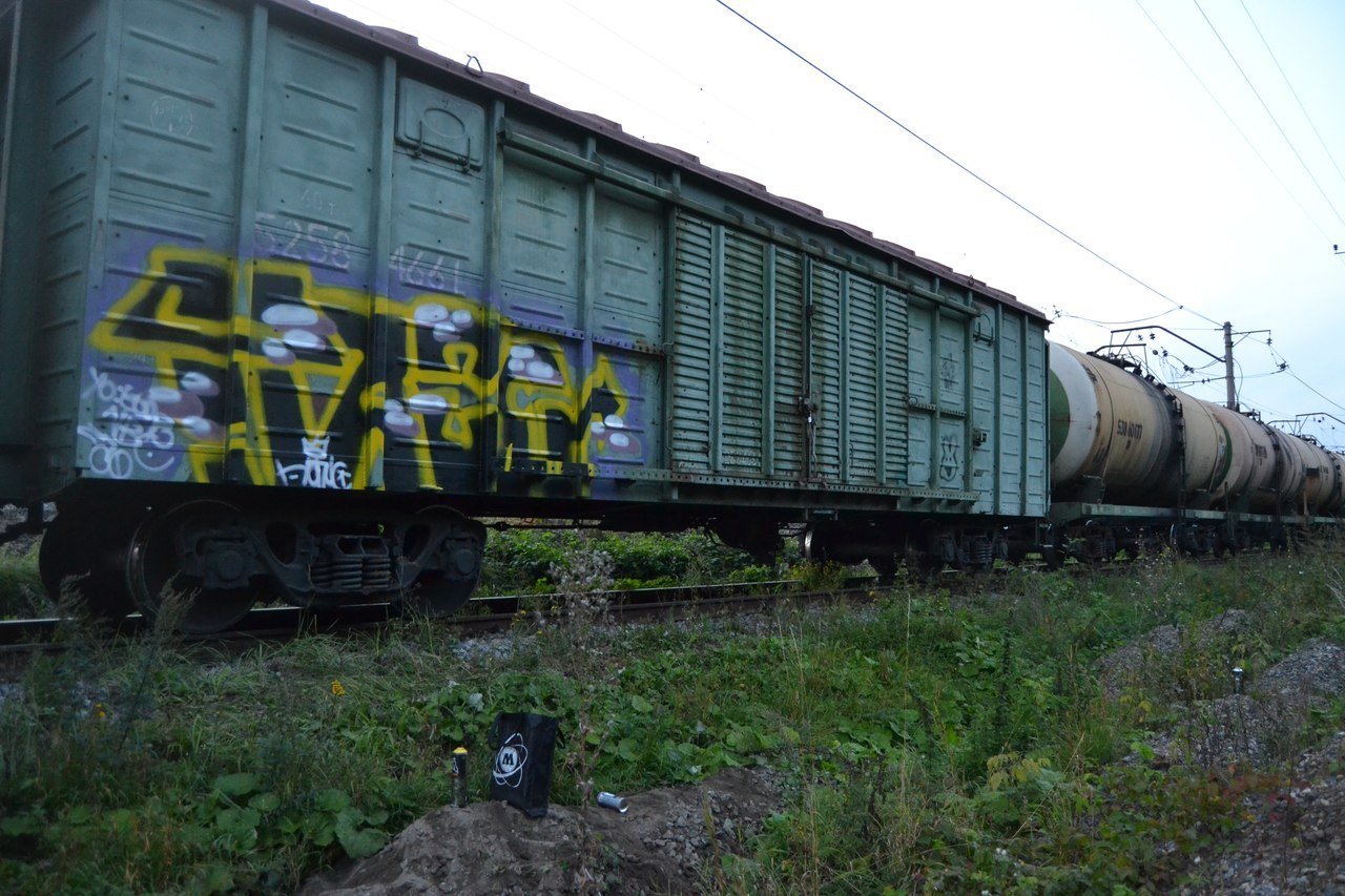 Graffiti Train - Photo by NAPIS