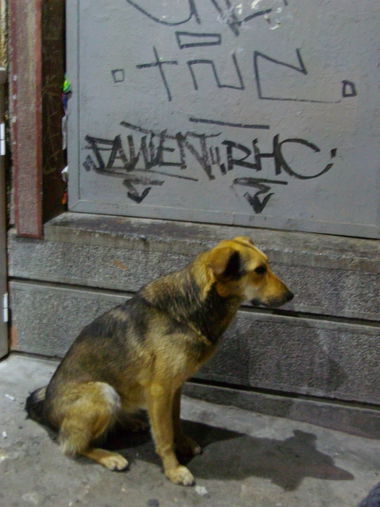 Graffiti Artwork in Stara zagora - Photo by NAVIT - Faulen, RHC, StaraZagora (2015)