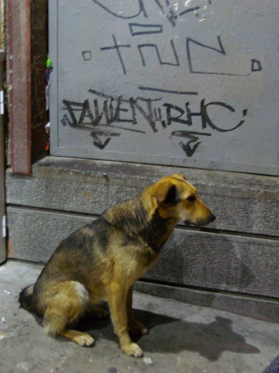 Graffiti Artwork in Stara zagora - Photo by NAVIT - Faulen, RHC, StaraZagora (2015)