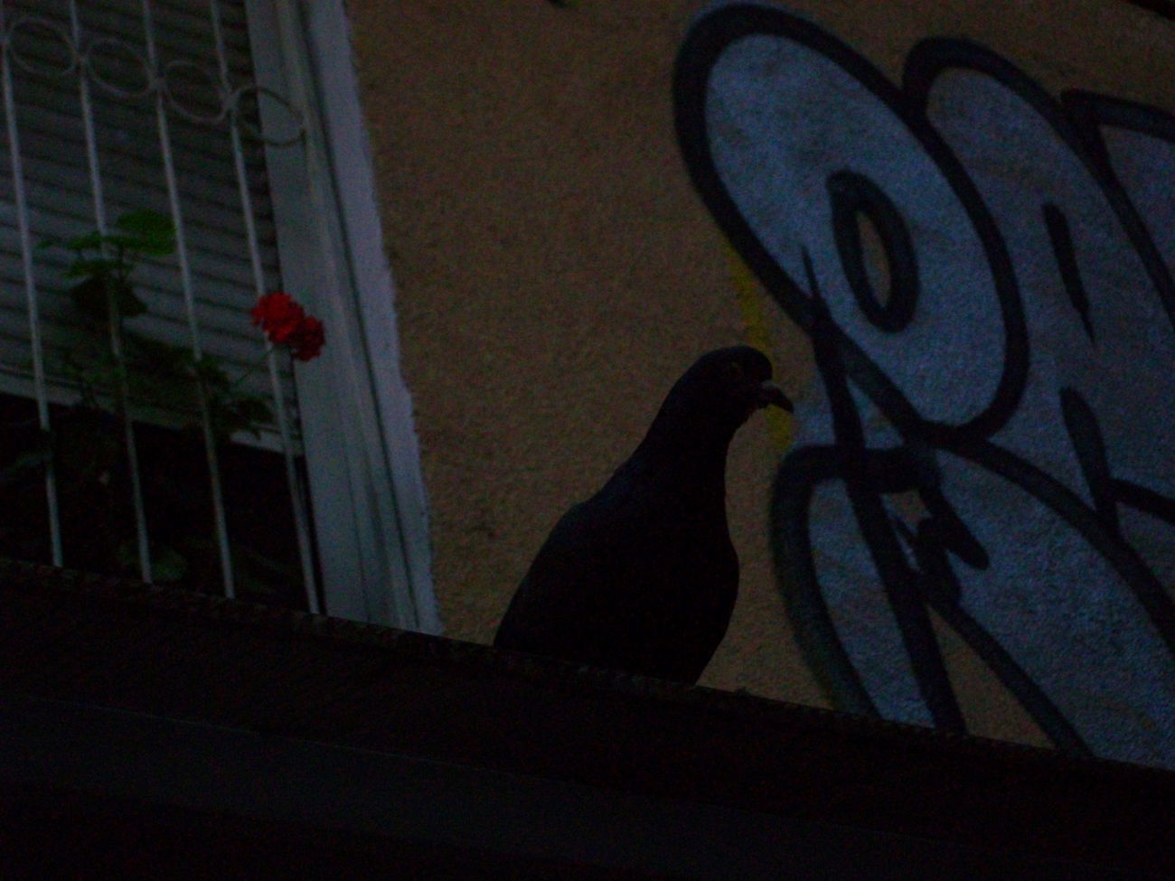 Graffiti Artwork - Photo by NAVIT (2015)