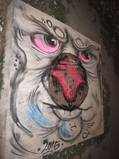 Graffiti in Stara zagora - Photo by NAVIT - Dog'sPark (2015)