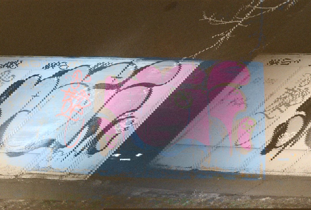 Graffiti Wall - Photo by NCPF