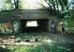 Photo #78886 by Tisot