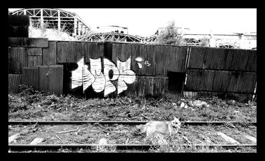 Graffiti Bombing - Photo by NCPF