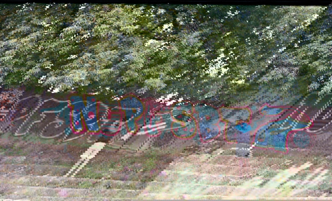 Graffiti Bombing - Photo by NCPF