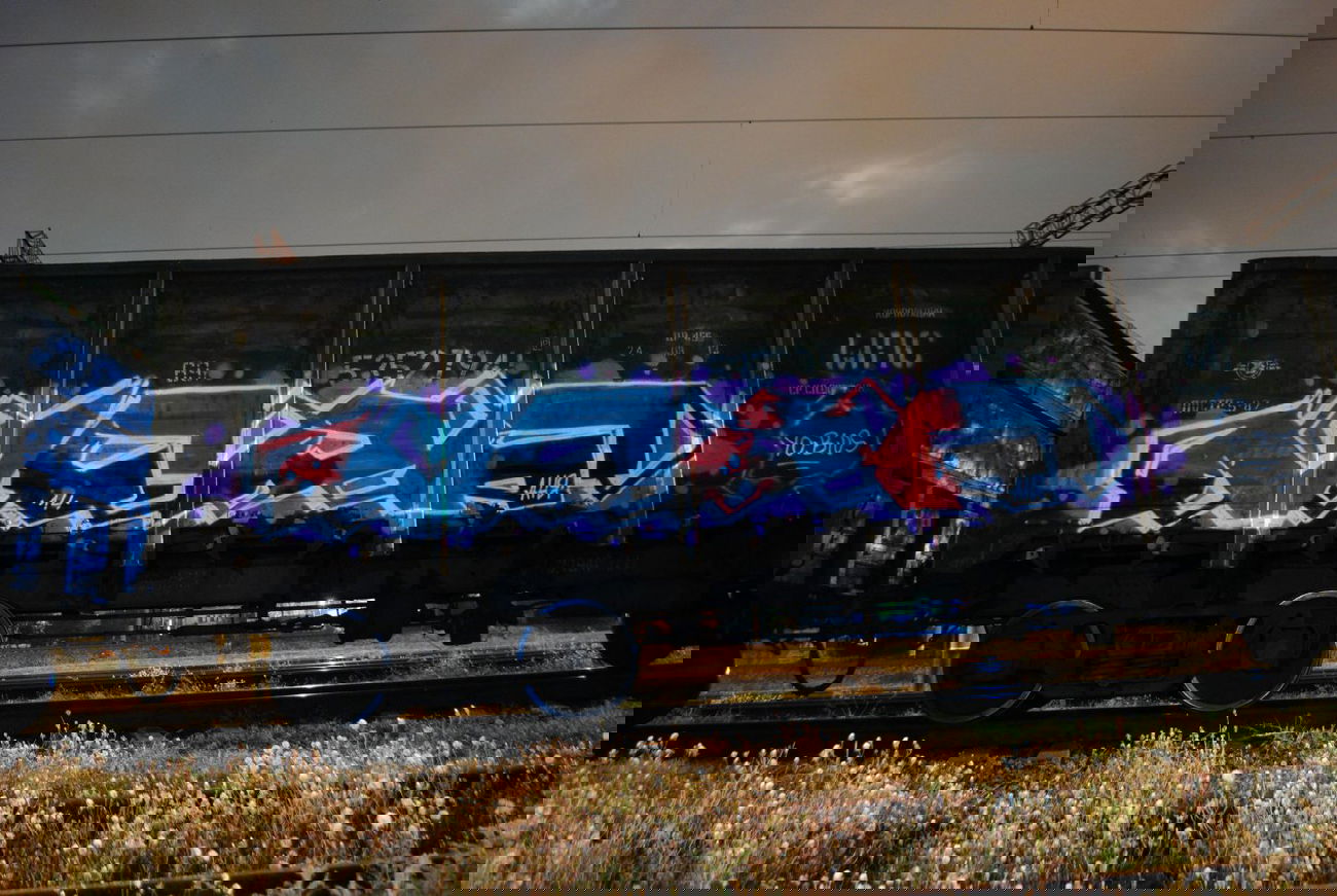 Graffiti Train - Photo by NCPF - NCPF, Fright (2014)
